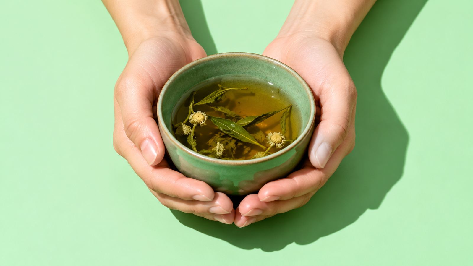 Two hands cradling a small bowl of chrysanthemum herbal tea